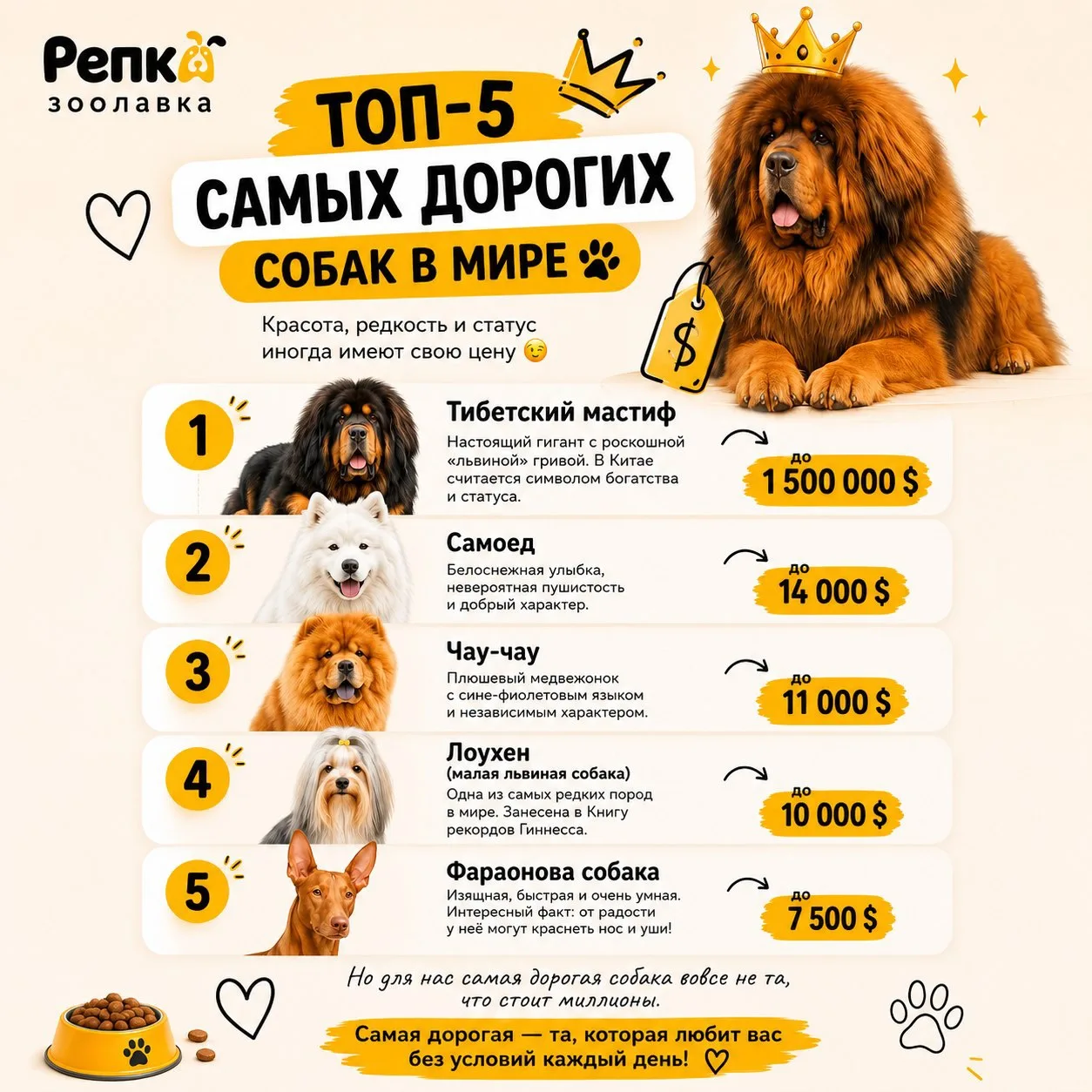 🐶 ТОП-5 самых дорогих собак в мире 💎