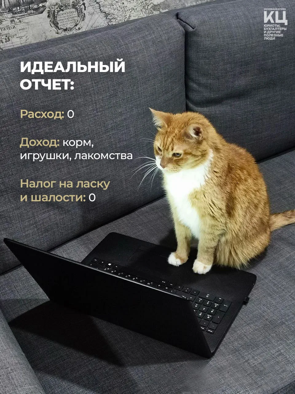 Друзья, свои идеальные отчеты лучше доверить нам!