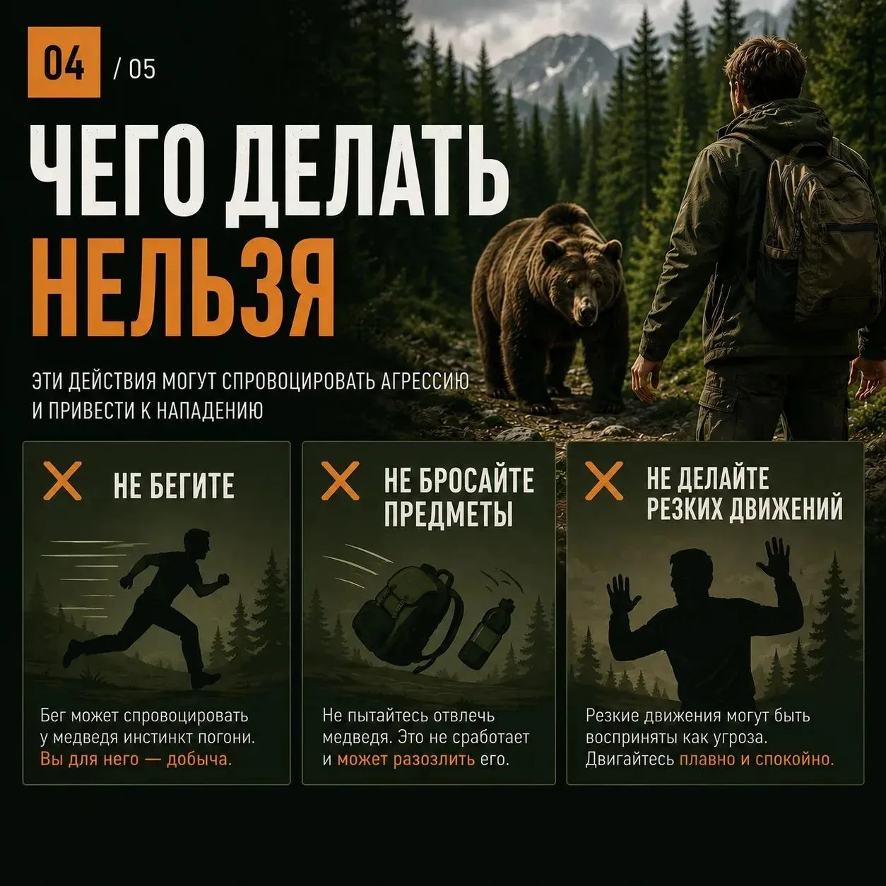 Встретить медведя в лесу – ситуация, к которой лучше быть готовым заранее.