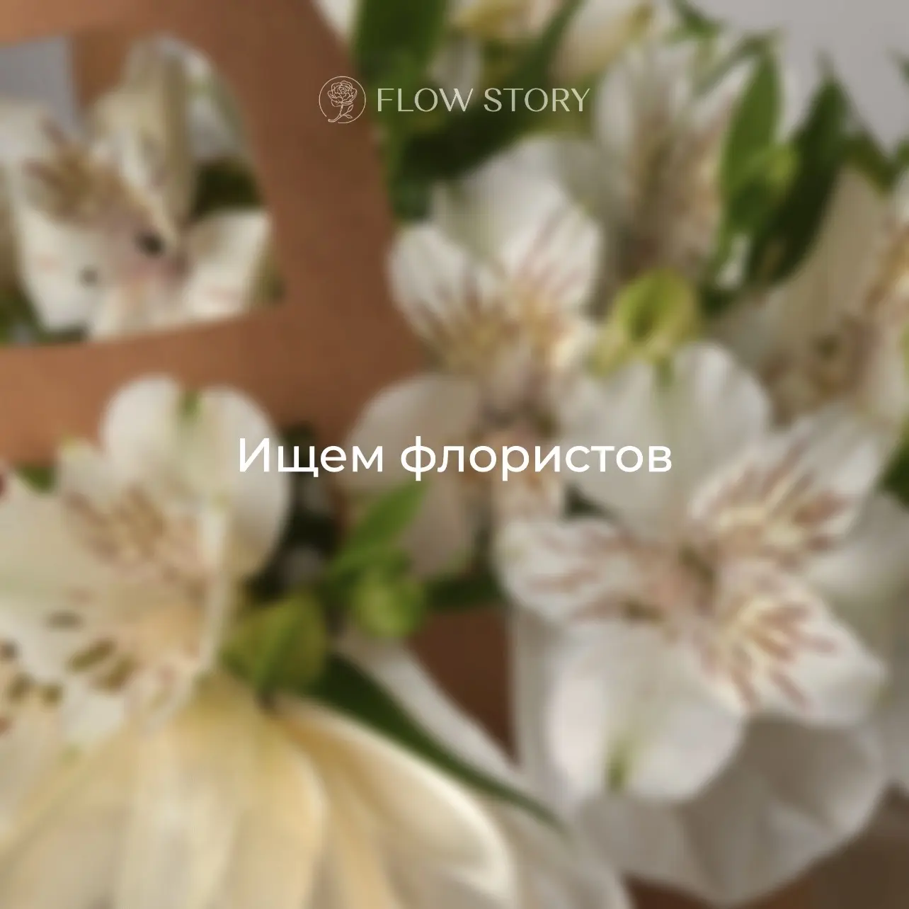 В нашу команду Flow Story требуются флористы 🤍