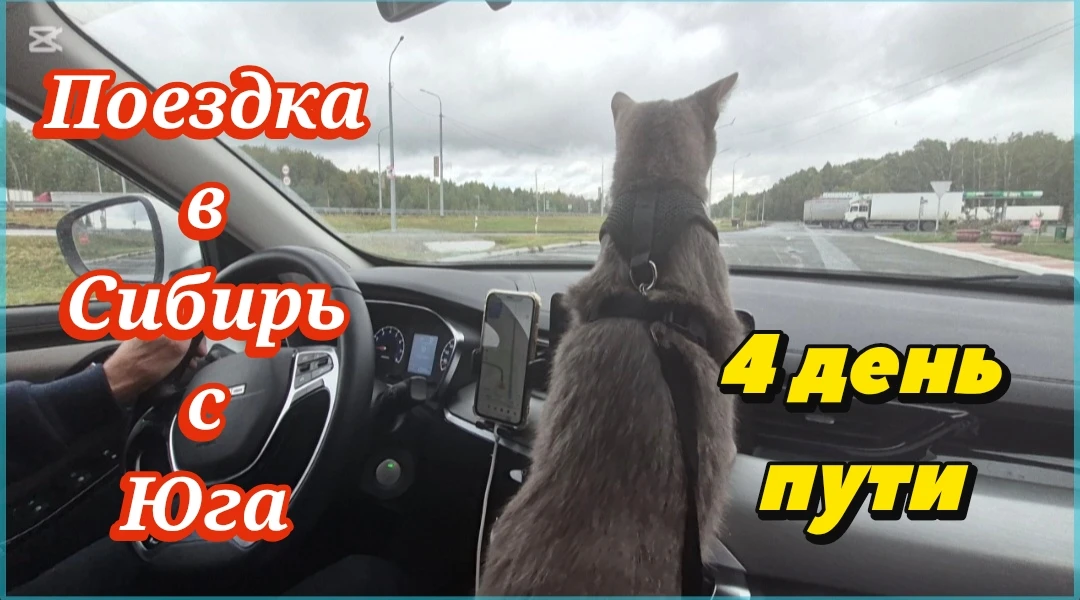 https://vkvideo.ru/video-229926254_456239522?list=7db25e270dad7295a7