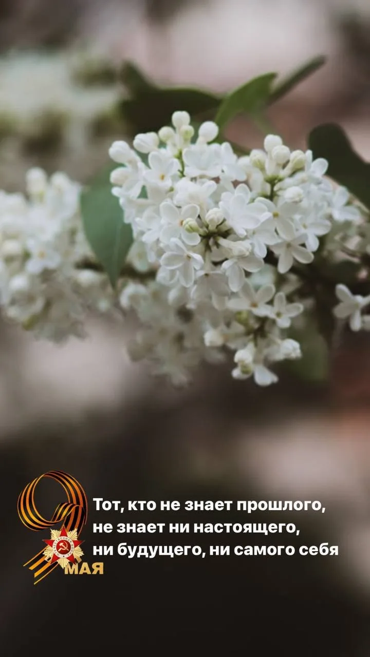 С Днём Победы, друзья! 🎖️

Сегодня — 9 Мая, день великой доблести, памяти и благодарности. Мы чтим 