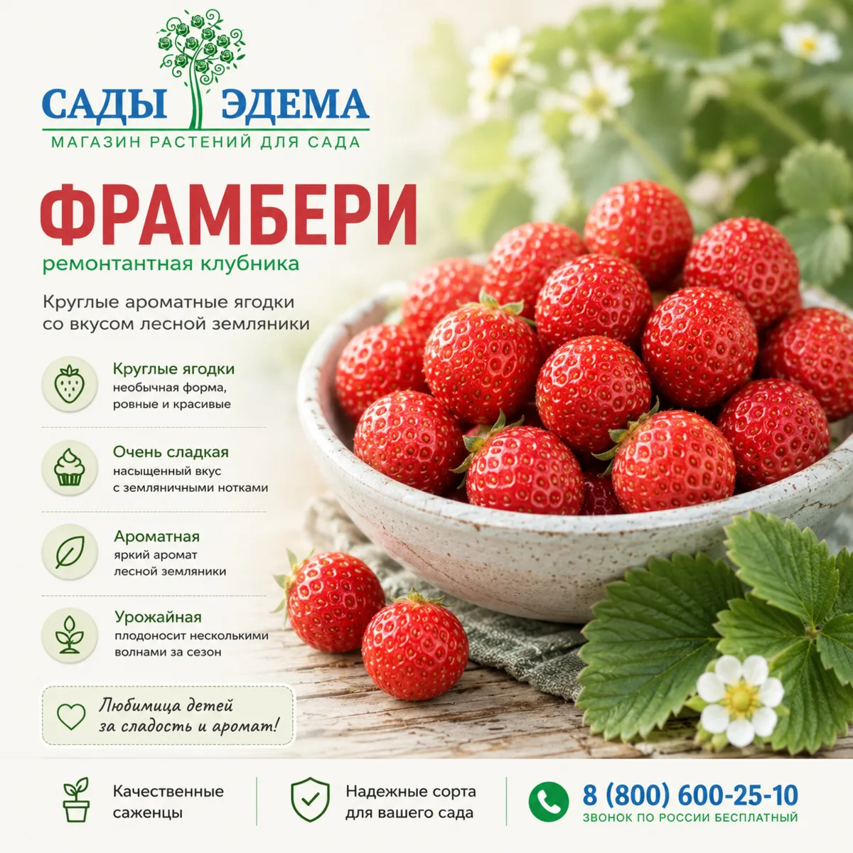 Фрамбери - это круглые ягодки, насыщенный аромат лесной земляники и сладкий вкус, который напоминает