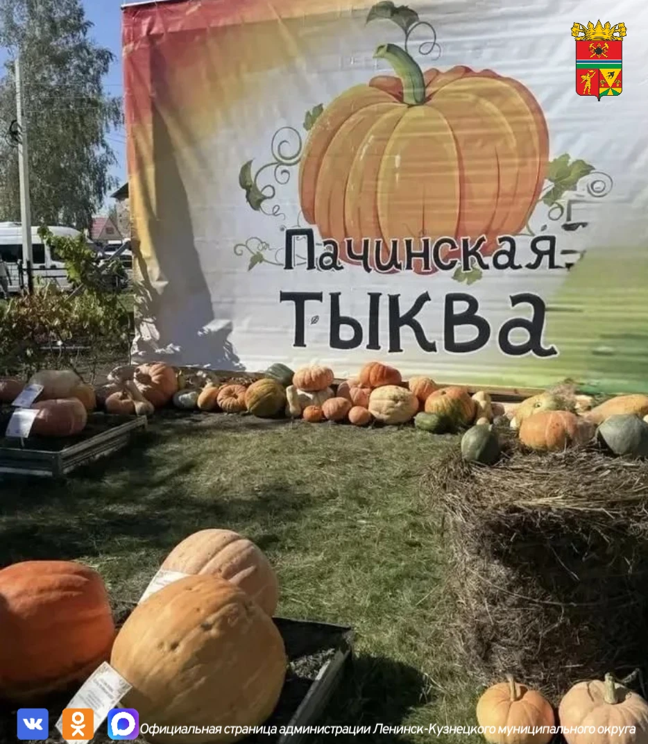 🎃 12 сентября в старинном селе Пача Яшкинского муниципального округа прошел яркий фест...