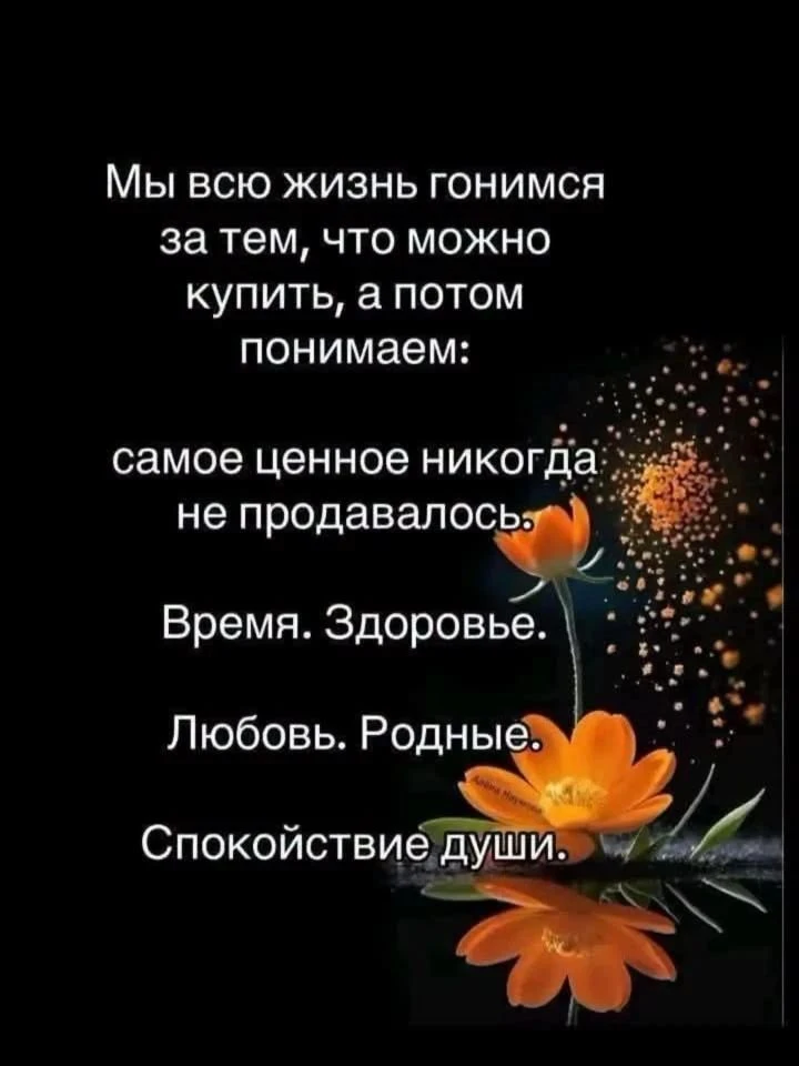 Цитаты ☺️