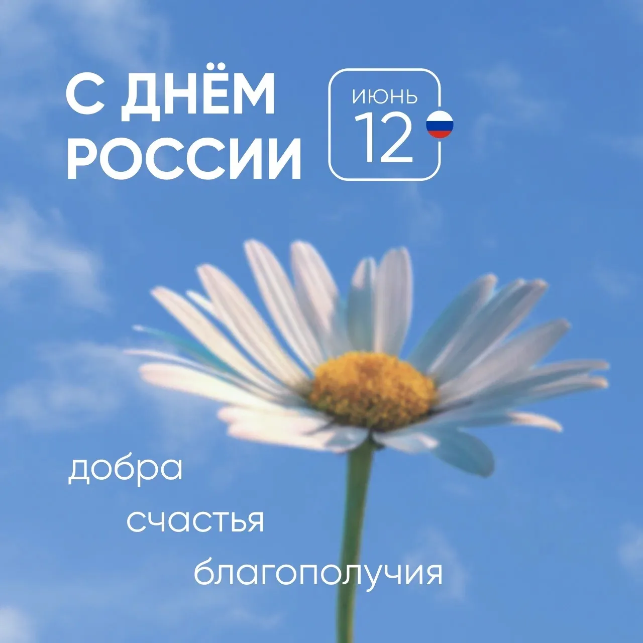 С Днём России 🇷🇺