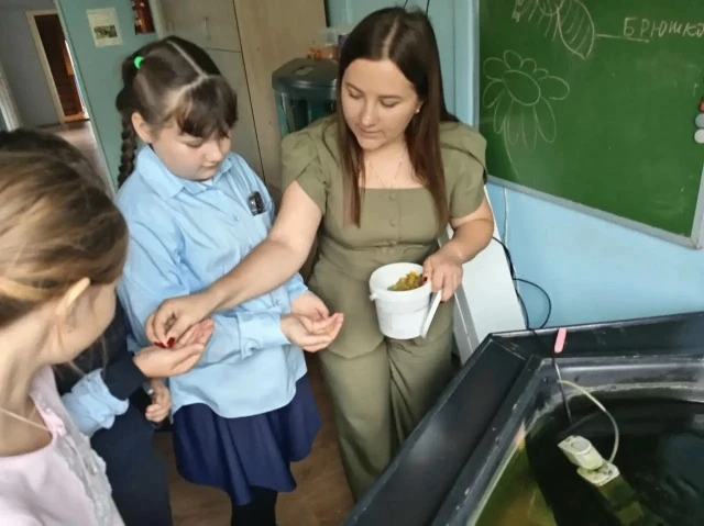 💥 Большая помощь маленькому другу! ❤️☘️