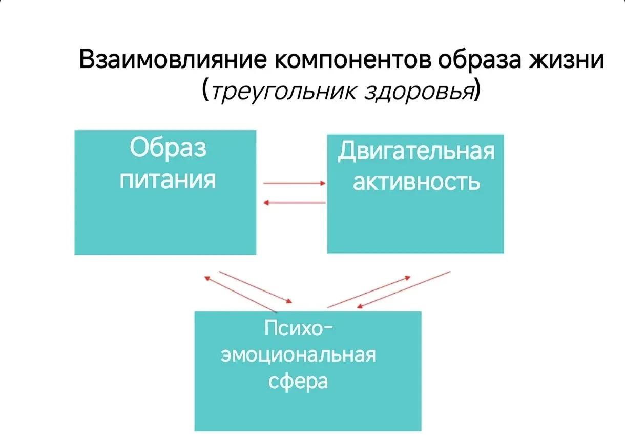 🔺 ТРЕУГОЛЬНИК ЗДОРОВЬЯ РЕБЁНКА: взаимосвязь питания, движения и эмоций
