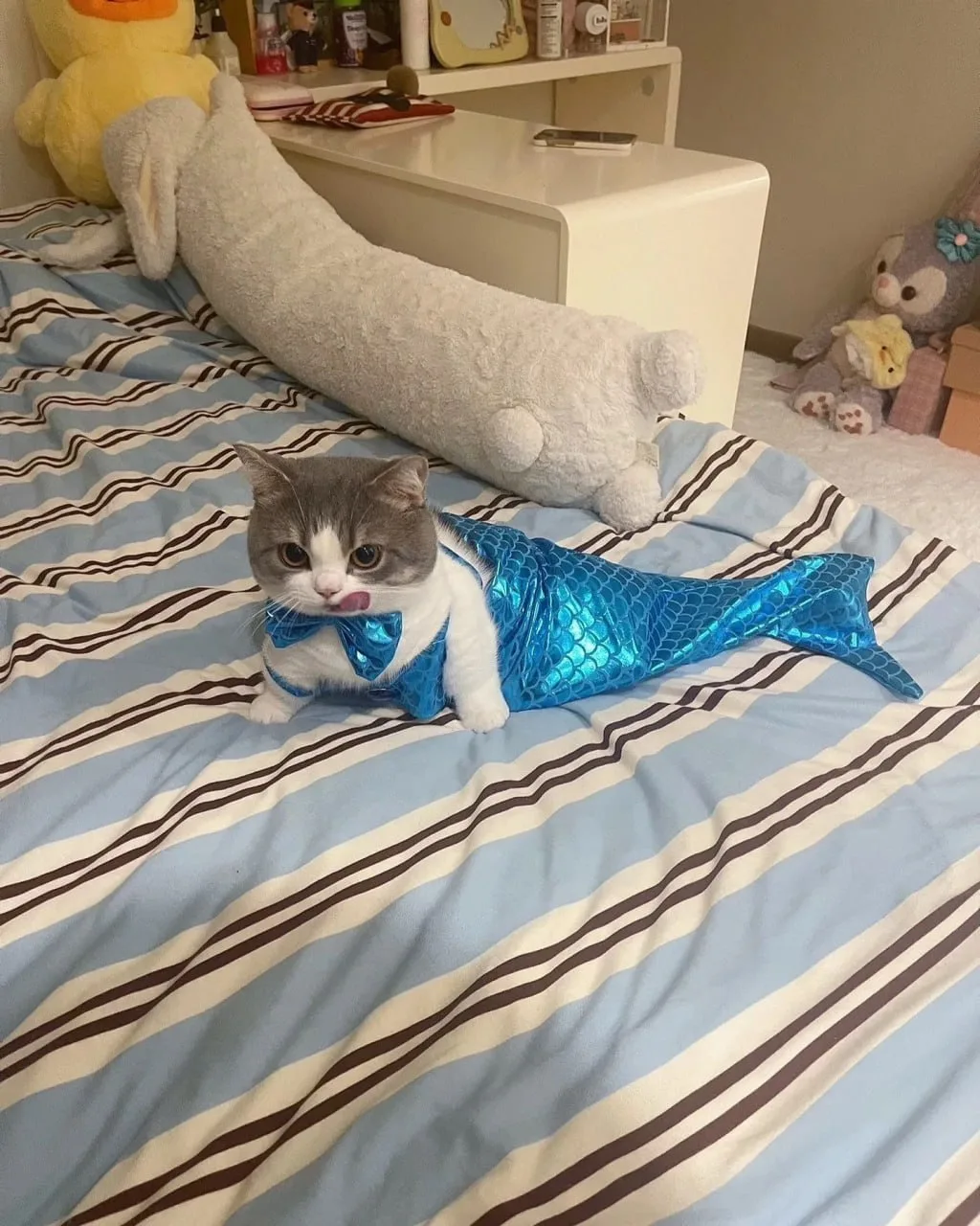 Он стал русалочкой :3