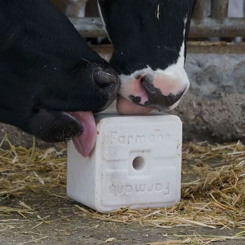 ❗️Соль: простая добавка, без которой продуктивность не держится