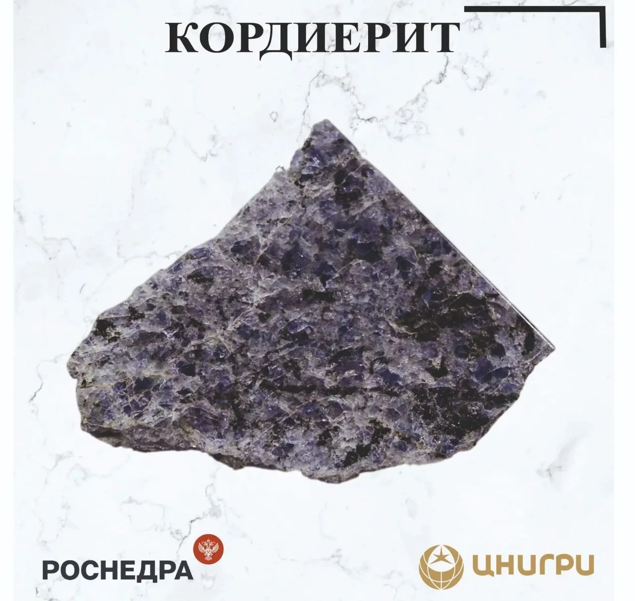 В эту среду ЦНИГРИ⁉️