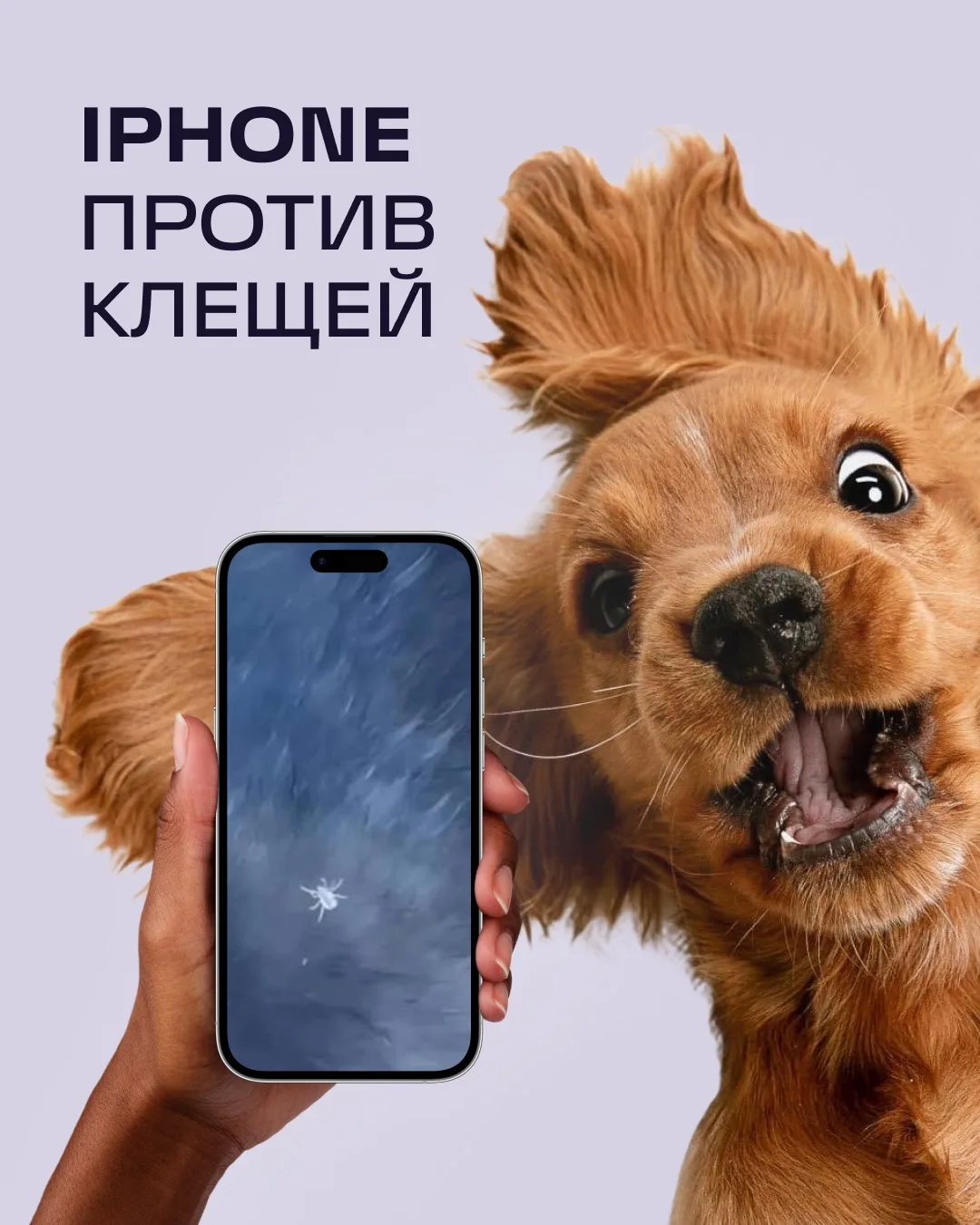 Если у вас есть питомец, вам точно пригодится приложение «Лупа» на iPhone 🐾