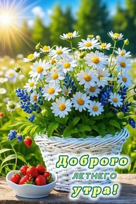 🌅 УТРО НОВОЙ ЖИЗНИ: Как просыпаться открытой чудесам и перестать «тащить» прошлое?