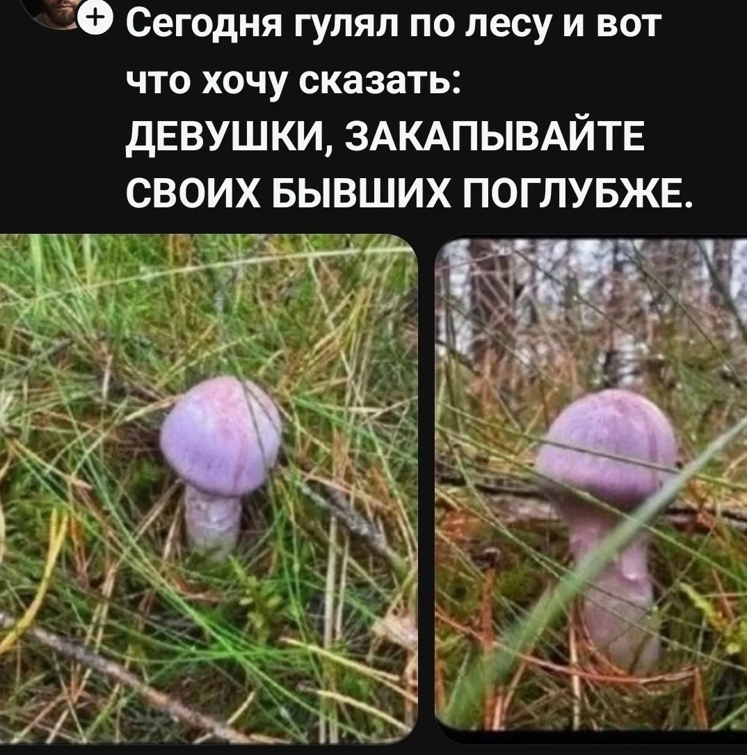⬇️ПОДПИШИСЬ⬇️