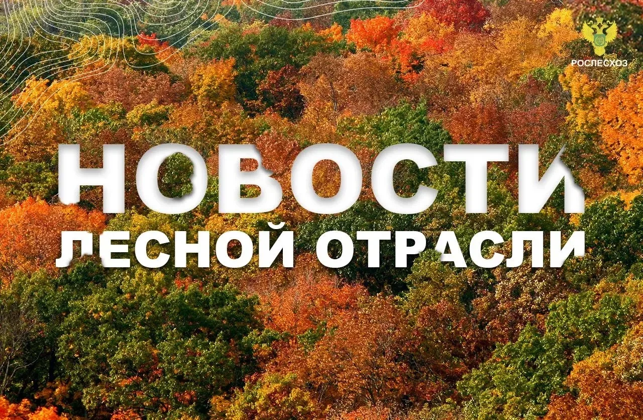 🟢 Российская газета: Замруководителя Рослесхоза Вячеслав Спиренков рассказал "РГ" о пр...