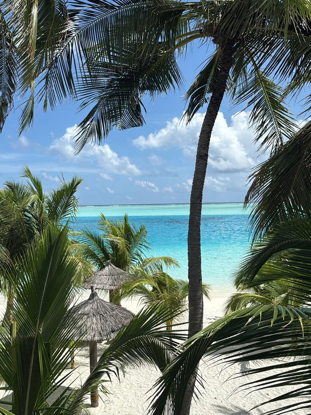 🐚Riu Atoll Maldives 4*
 
Классный резорта на Мальдивах 

И здесь вы точно не заскучаете! Активный о