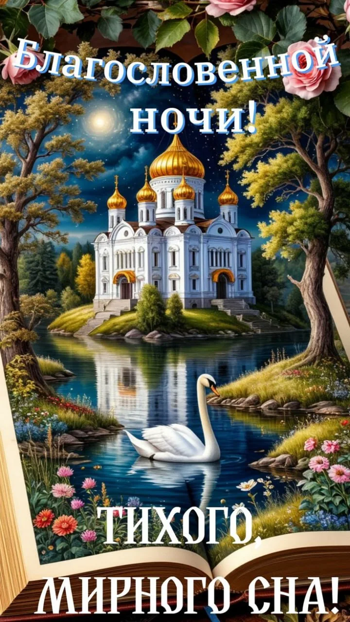 🍃🌼🌸🍃🌼🌸🍃🌼🌸🍃
