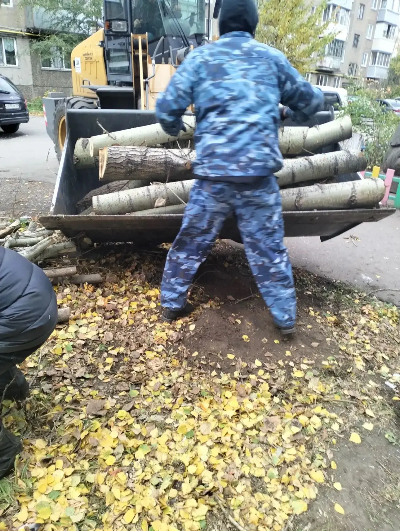 🌳 На ул. Космонавтов, 7 вывезли 6 машин спиленных деревьев! ✅