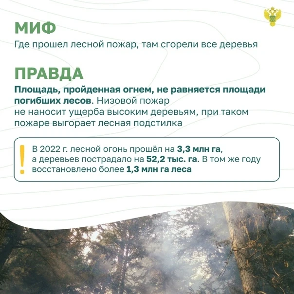 Останови огонь!!! 🔥🔥🔥 О сбережении лесных 🌳🌲 ресурсов России. Миф и правда 💯⁉