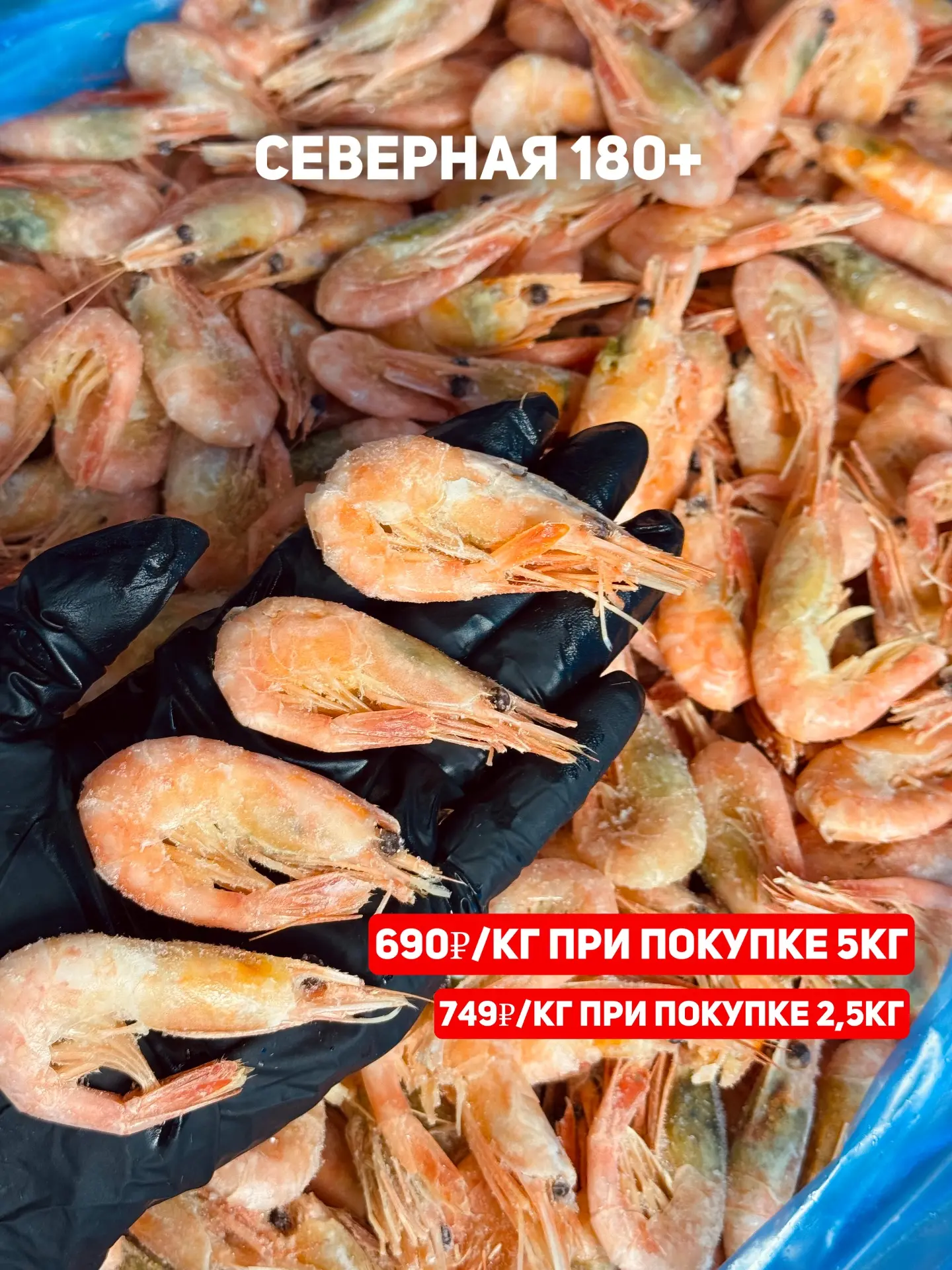 🔥 ЛЕТО ПРОДОЛЖАЕТСЯ — А ЦЕНЫ ТАЮТ! ☀️🦐