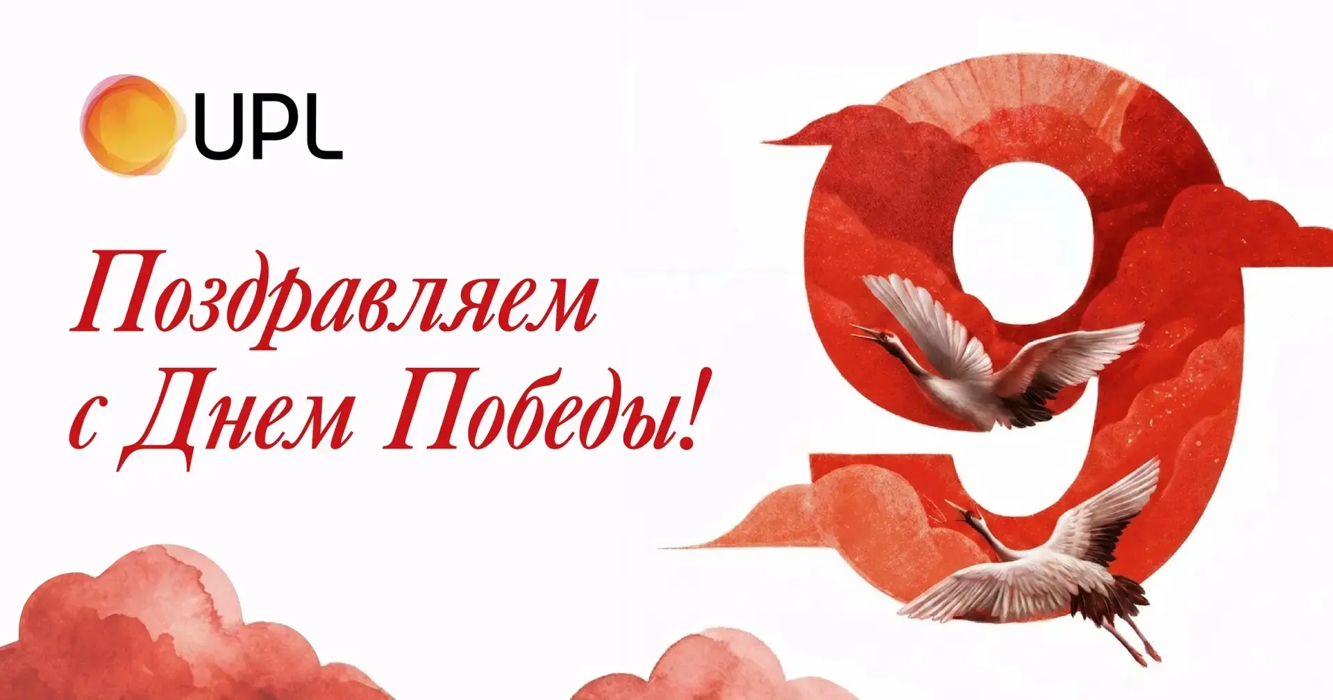 Дорогие коллеги!