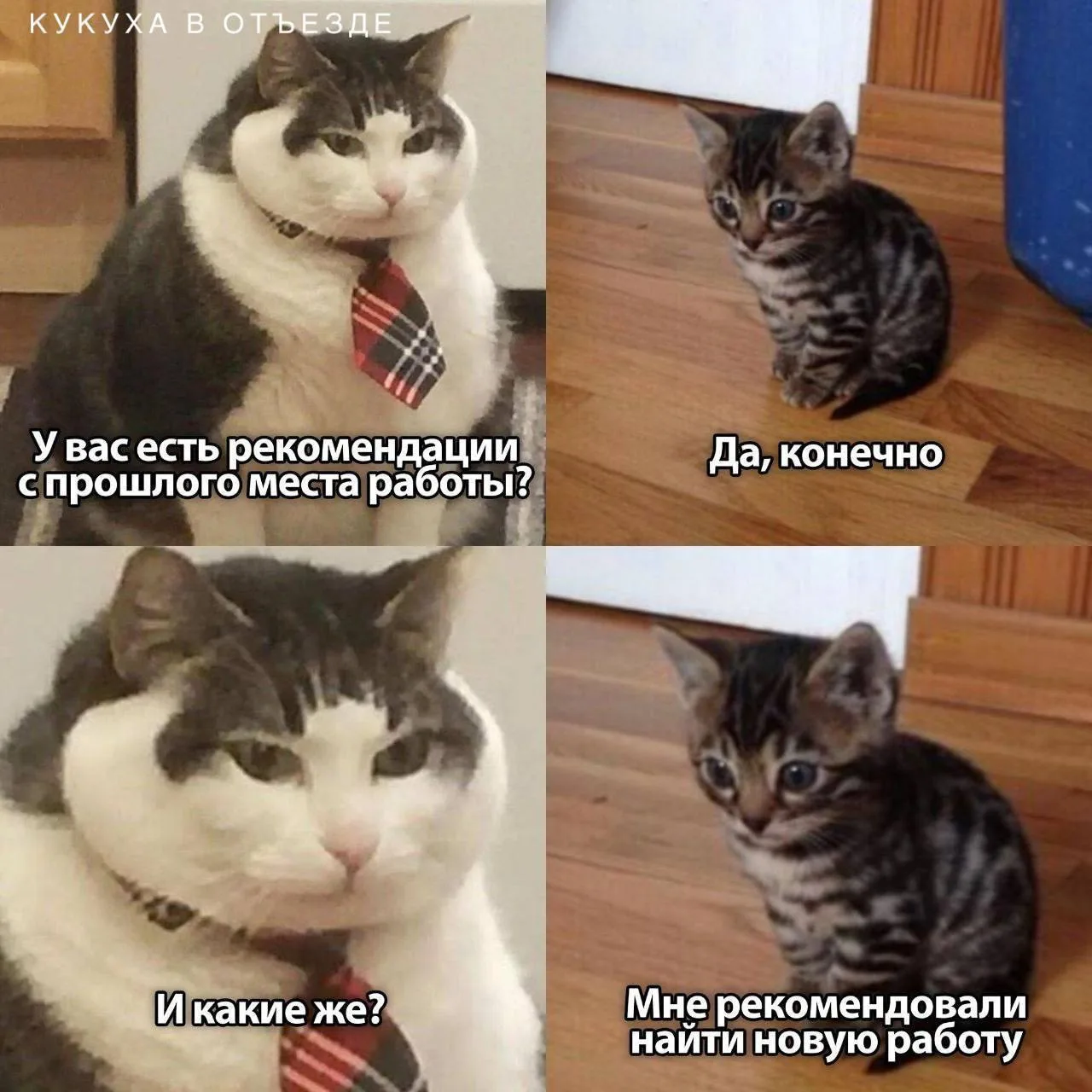 Кукуха в отъезде 🐦