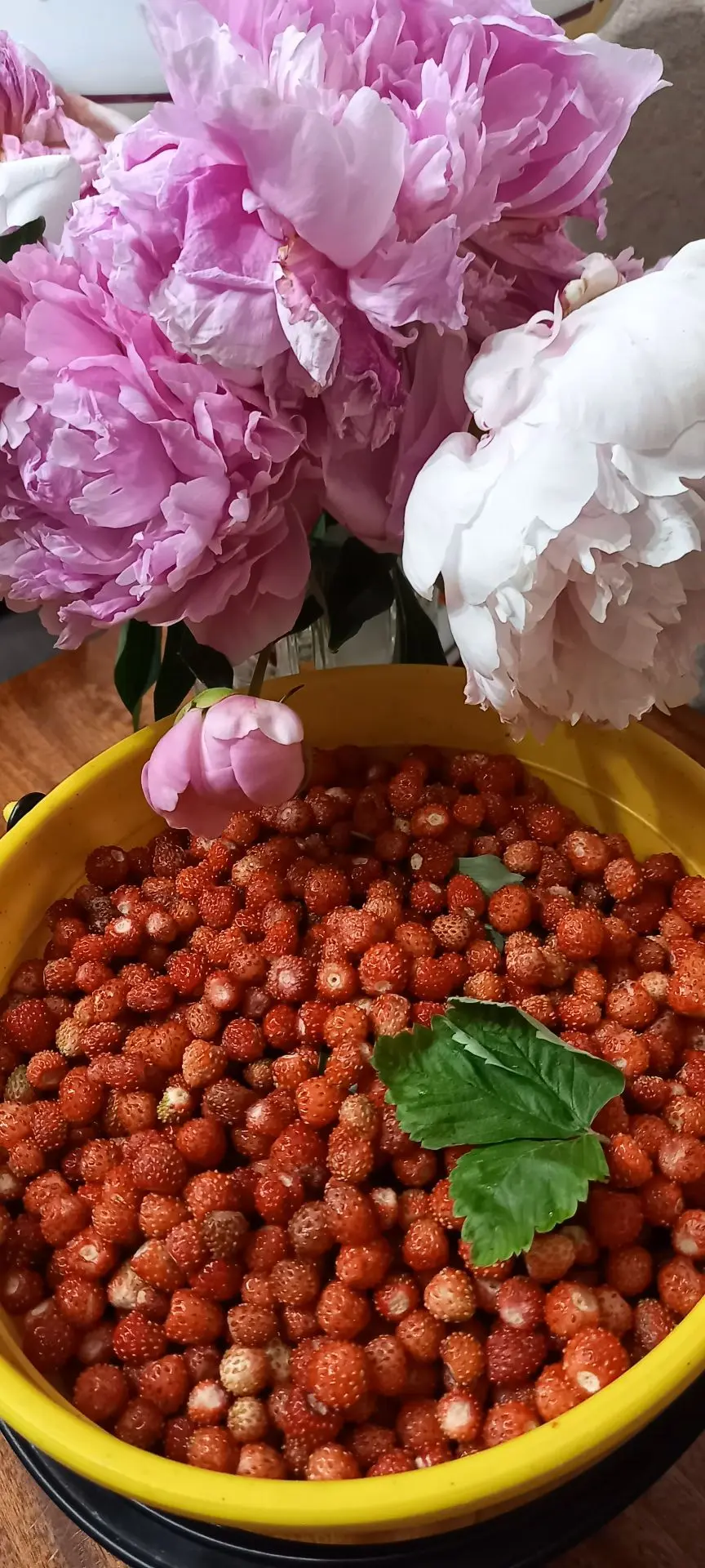 Разыскивается лучший рецепт варенья! Приз - зрительские аплодисменты и всяческие похвалы😁