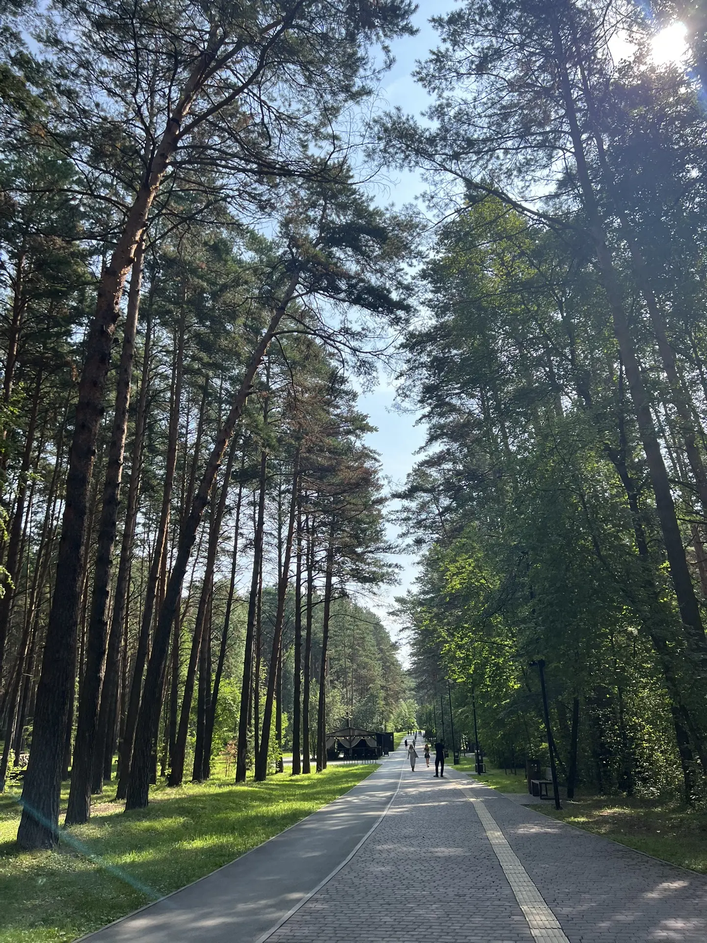 Девочки, доброго дня!☀️