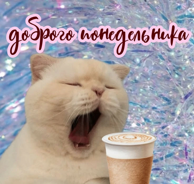 🙂 Доброе утро, Орджоникидзевский!
Хәйерле иртә, #Орджоникидзерайоны!

Праздничные выходные позади, 