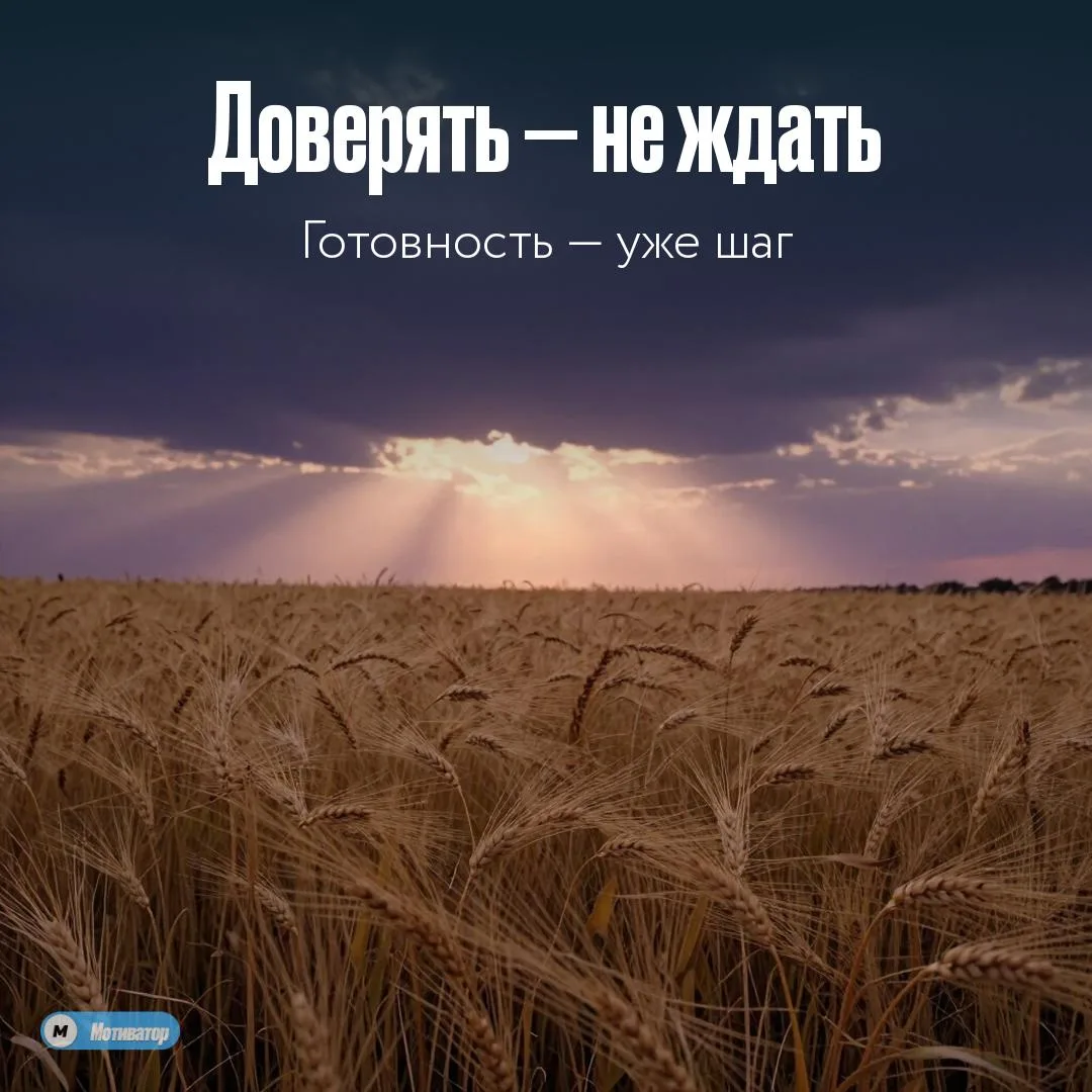 Сегодня я доверяю процессу.

Всё, что должно случиться, уже в пути. Мой момент приближается — я встр
