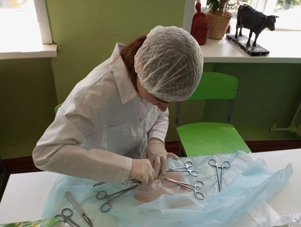 ✅ Почти 5 тысяч выпускников колледжей Тверской области успешно прошли демонстрационный экзамен

В Тв