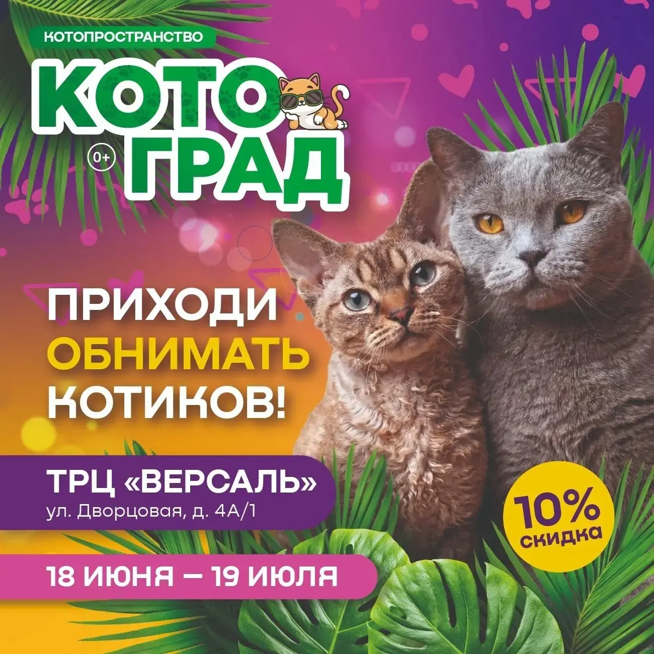 🐾  Открытие передвижной экспозиции «КотоГрад»! 🐾 Приглашаем вас посетить уникальную выставку, где 