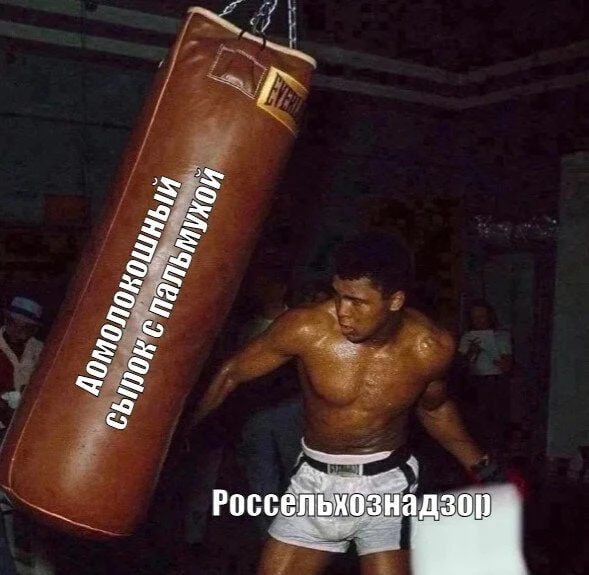 Россельхознадзор в ходе проверки АО "Калининградмолпродукт" (зарегистрирован на Камской, на месте, г