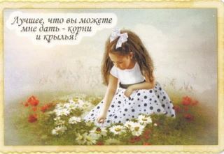КАРТА ДНЯ