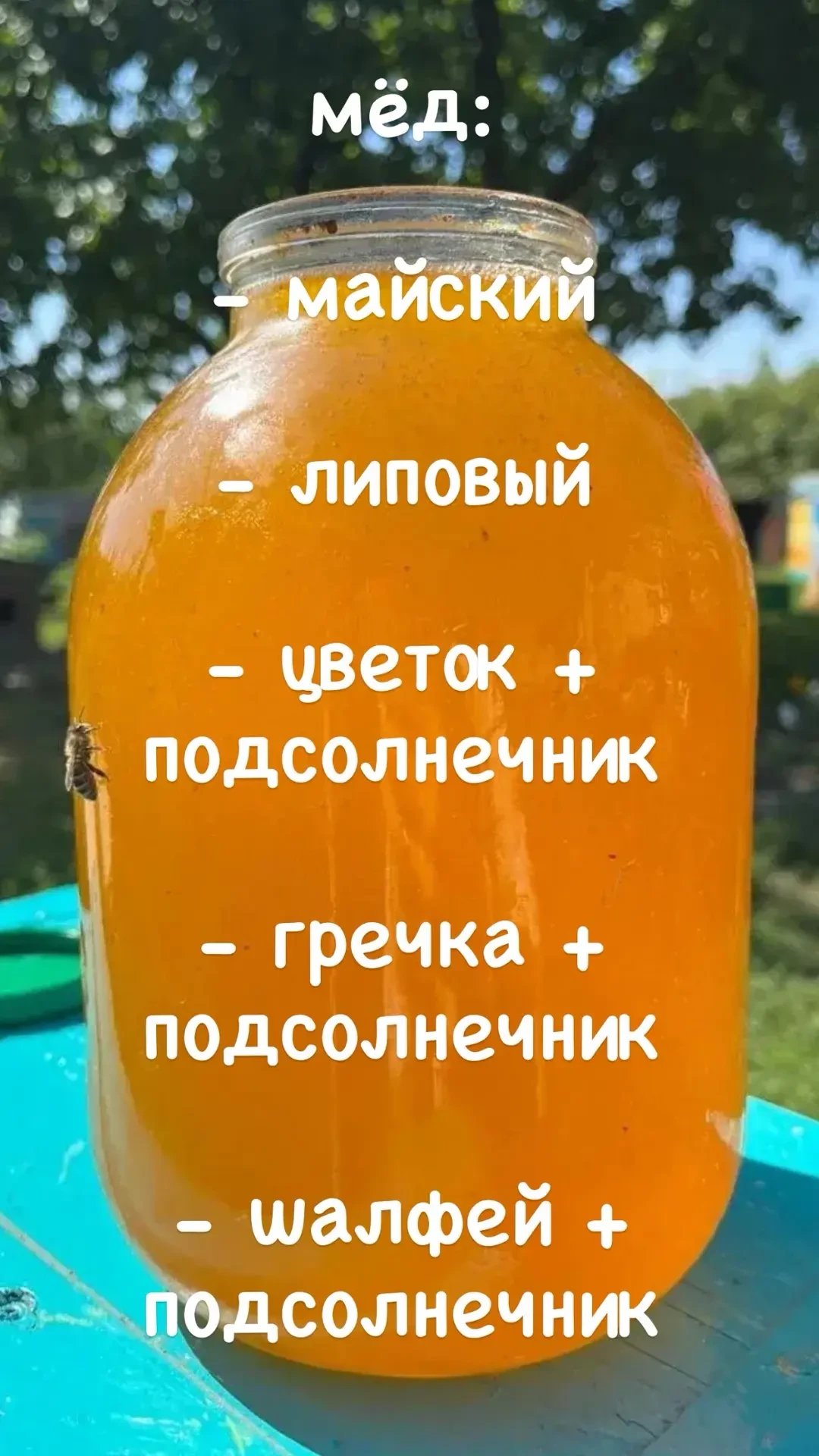Здравствуйте ☀️