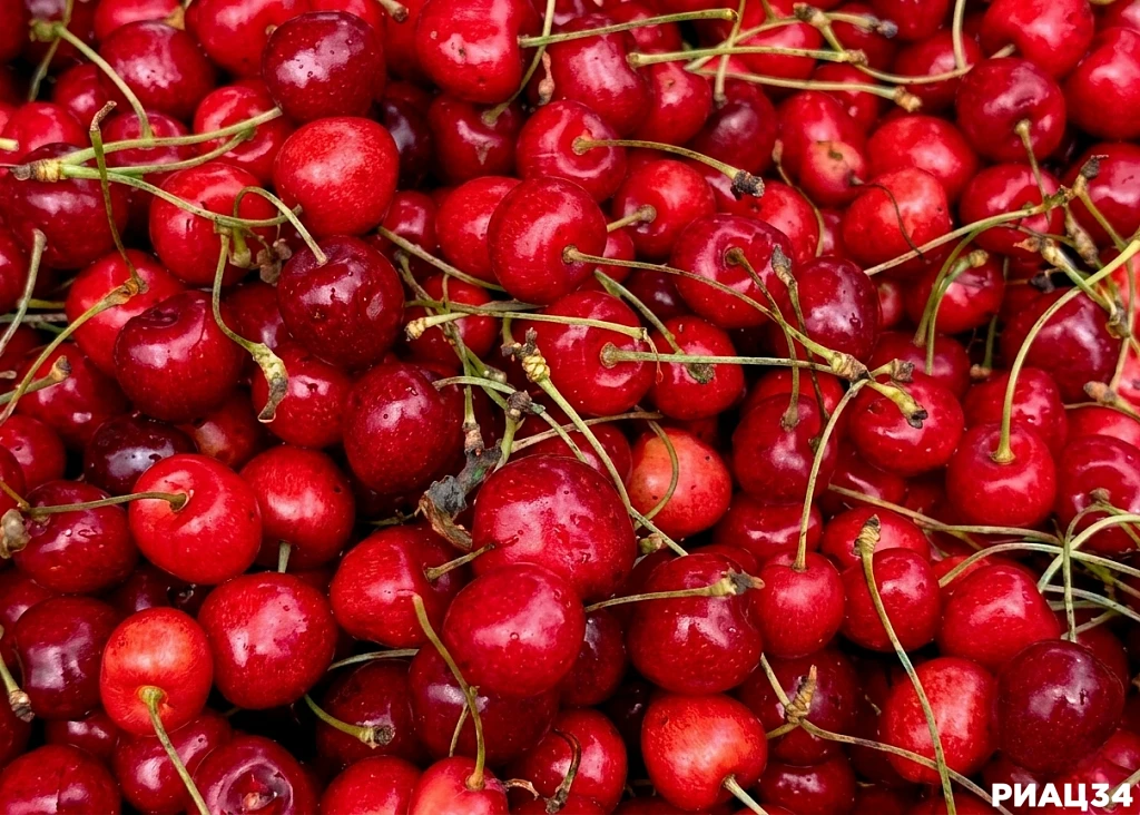 🍒 Пошла черешня: рассказываем, что почём и какая лучше.
