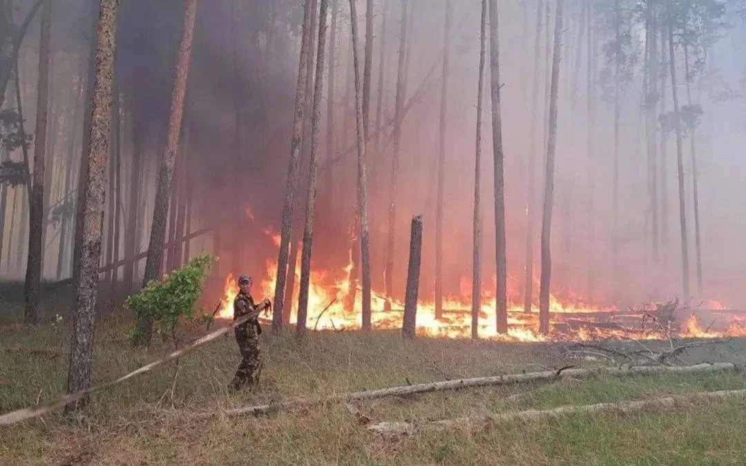 🔥 В Россошанском районе сохраняется повышенная пожарная опасность.