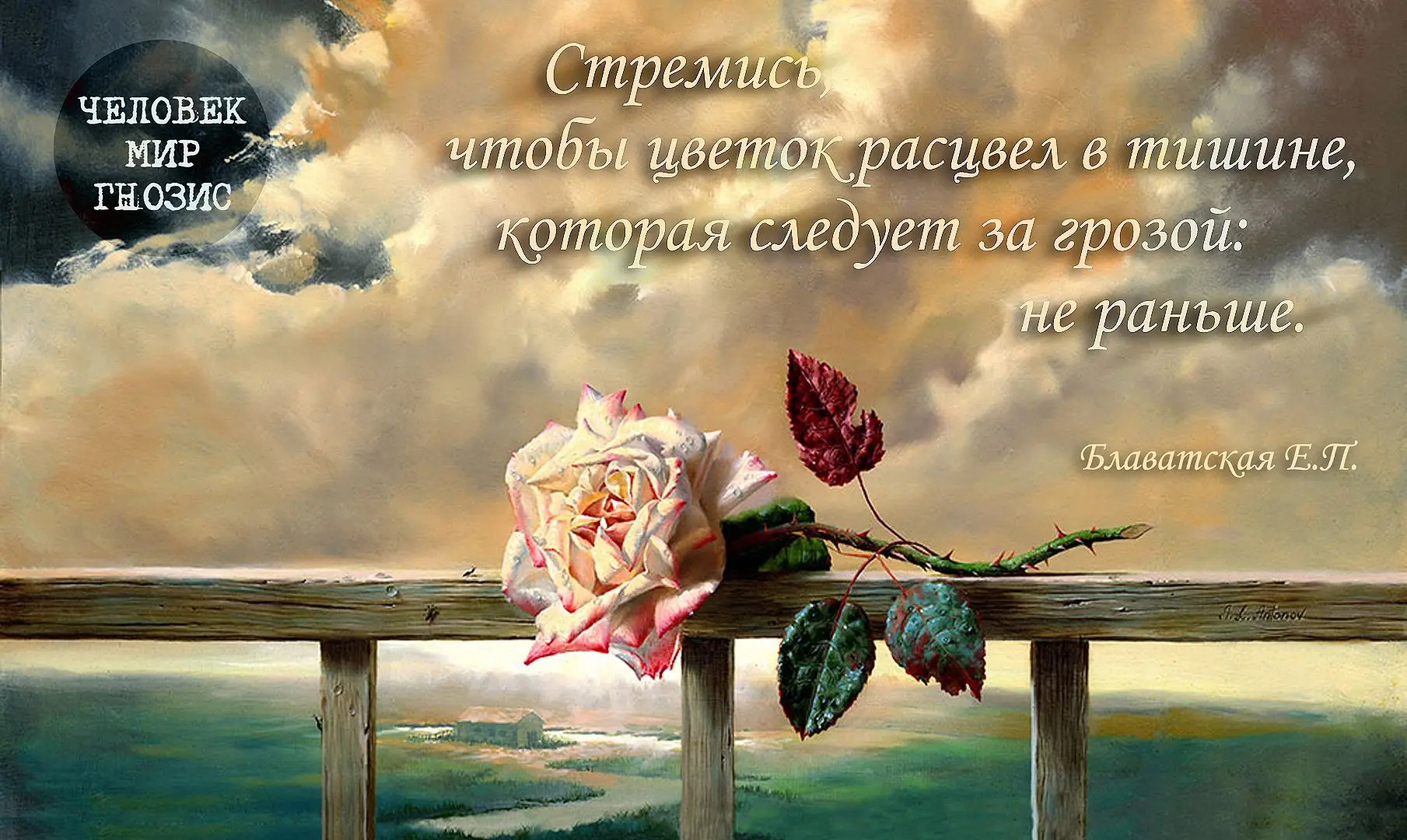 Стремись, чтобы цветок расцвел в тишине, которая следует за грозой: не раньше.