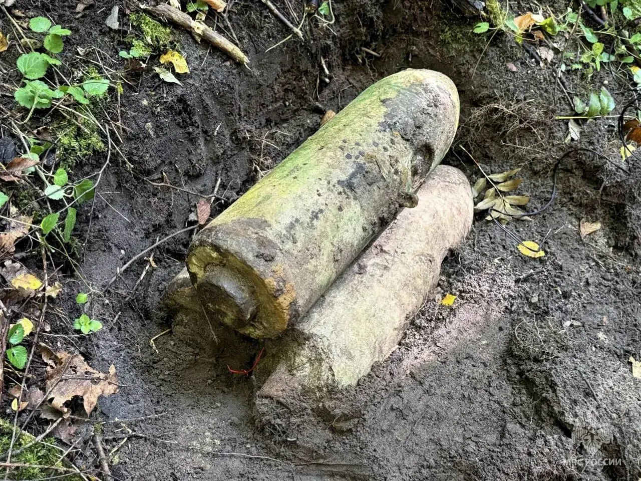 Грибник такого не ожидал 💣