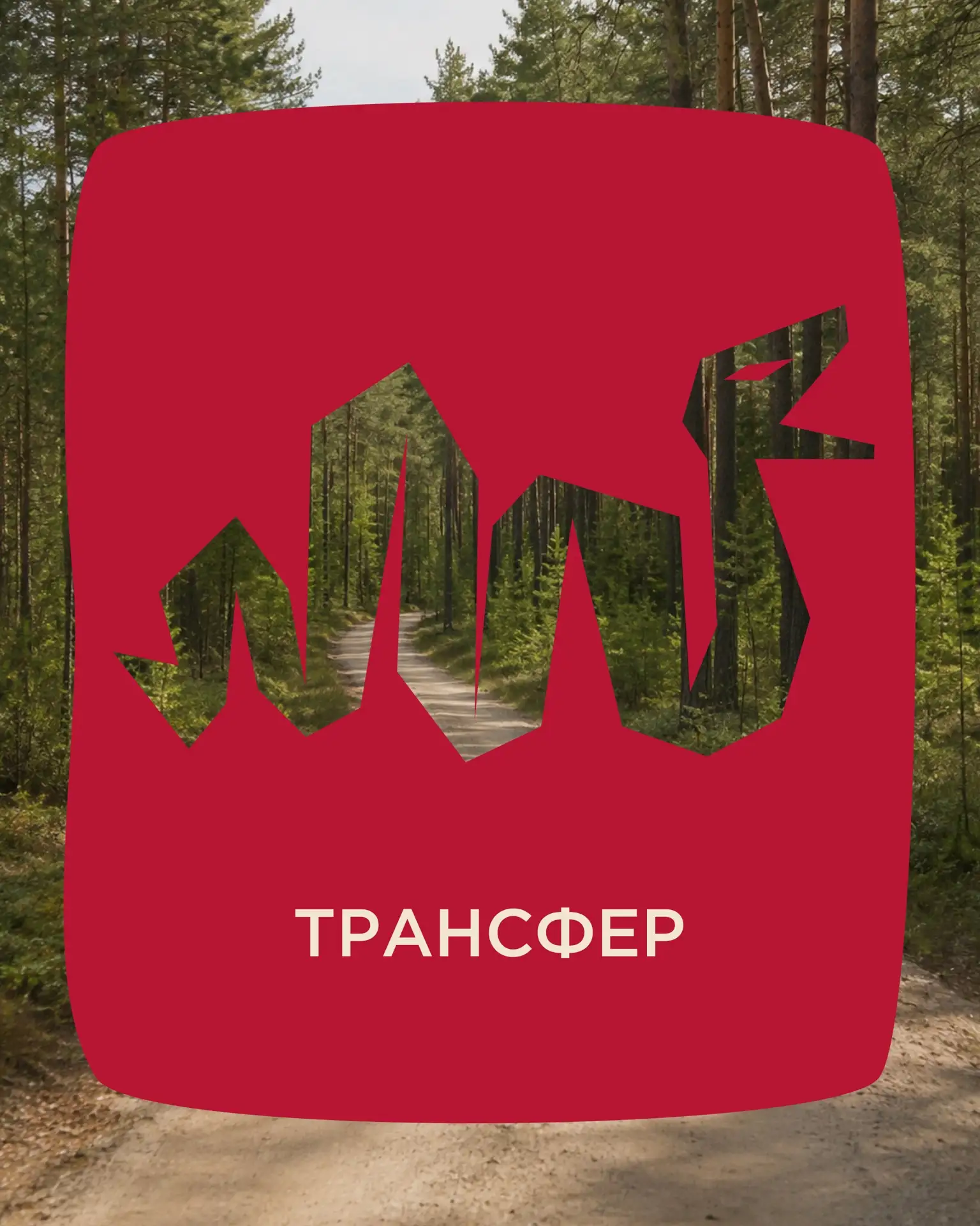 ТРАНСФЕР НА ФЕСТИВАЛЬ
едем на ВОСВОЯСИ вместе

14–16 августа фестиваль
современной русской культуры
