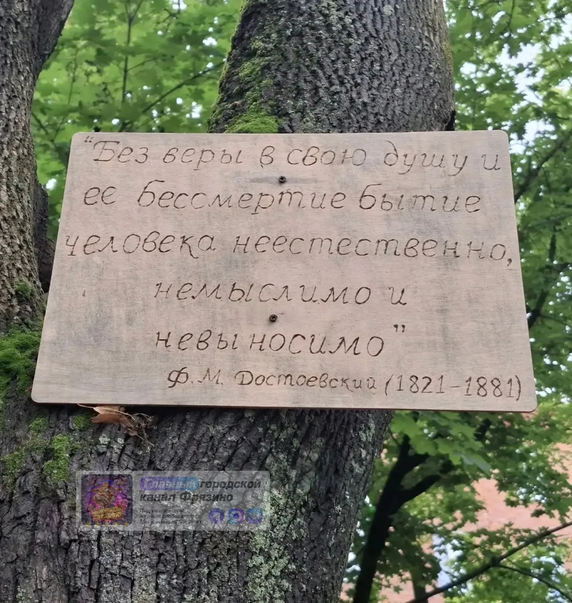 📍 Кто-то прикручивает саморезами к деревьям нашего города такие таблички 

Обращение от жителей: