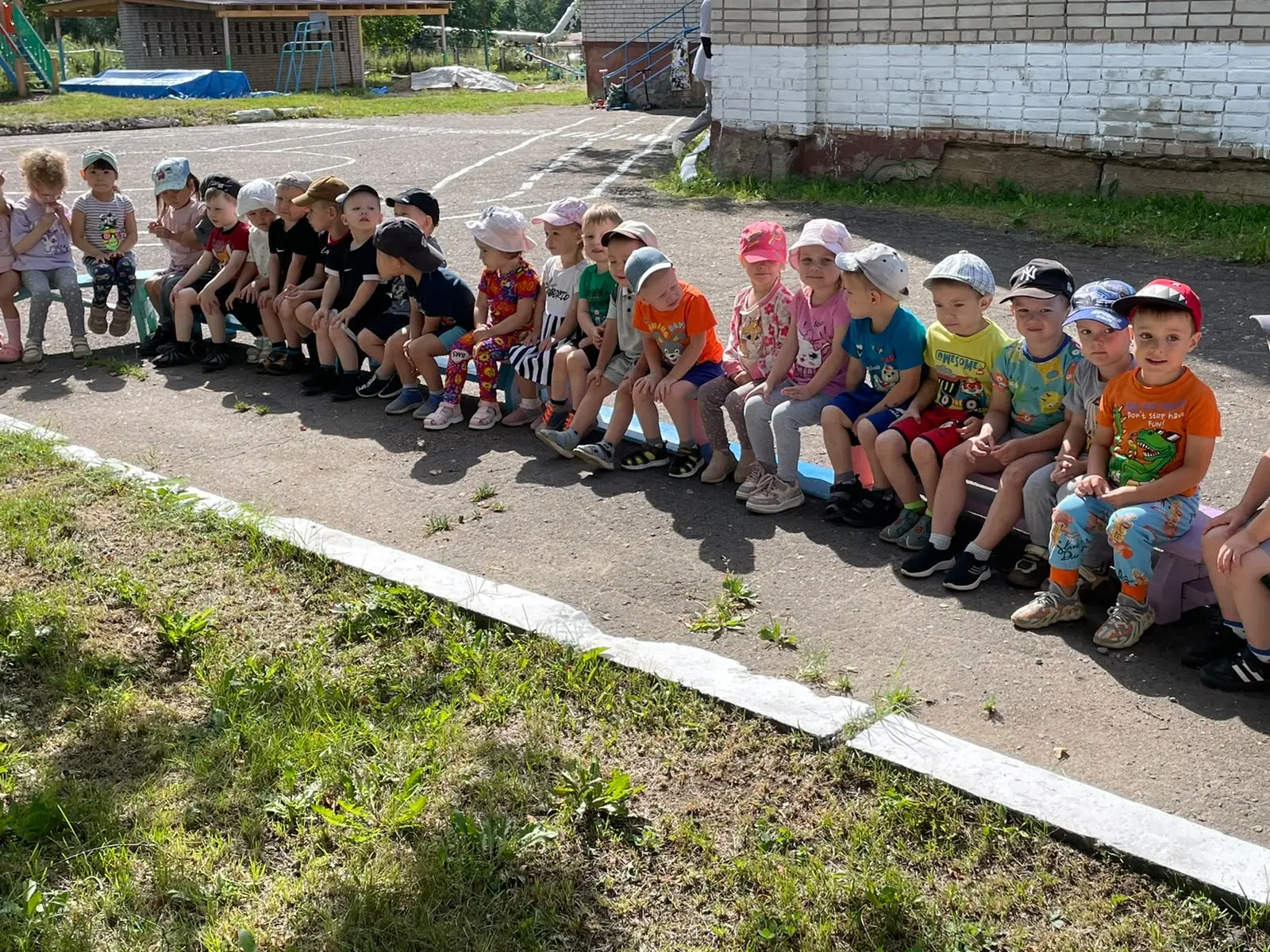 🌳 Настоящая сказка в лесу!