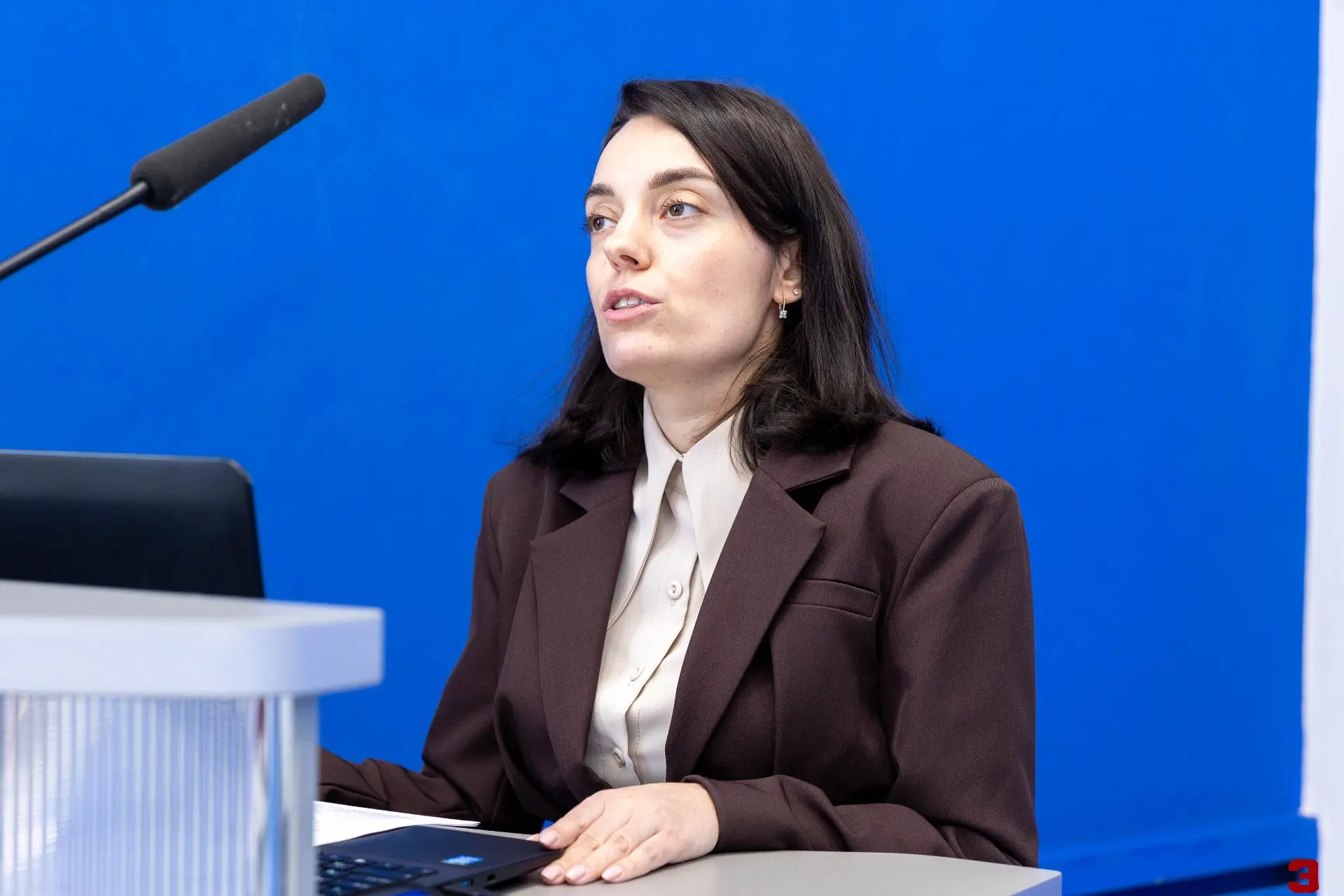 В Социально-экономическом институте обсудили вызовы и стратегии социально-экономического развития Ро