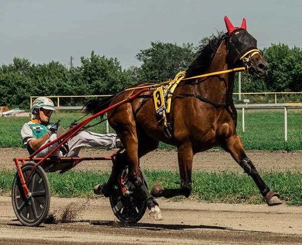🐎Виват, Хакасия!