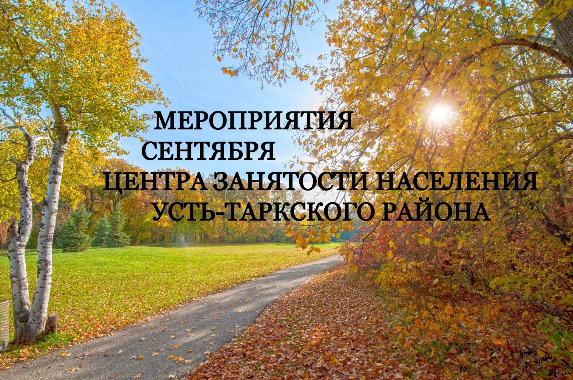 🍁 СЕНТЯБРЬ  в Центре занятости Усть-Таркского района: полезные встречи и консультации