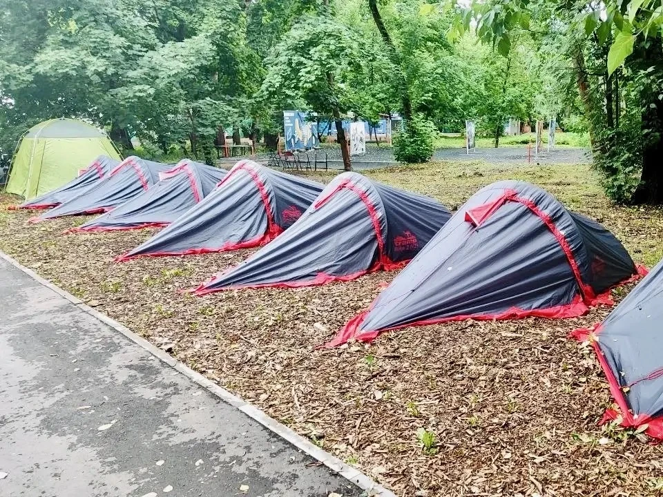 Изображение 2 к публикации «ГБОУ Школа №1315»