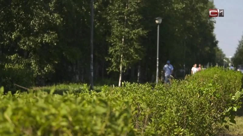 ☁⛅🌥 О наступлении сильной жары предупреждают жителей ряда районов Югры

Жару за 30 градусов по Цель