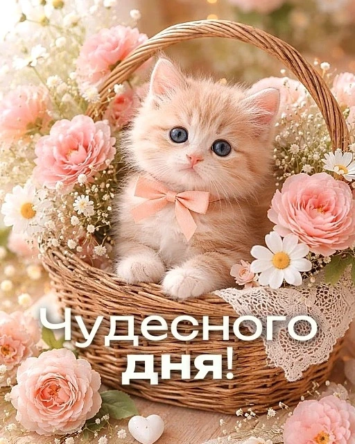 Доброго дня!
