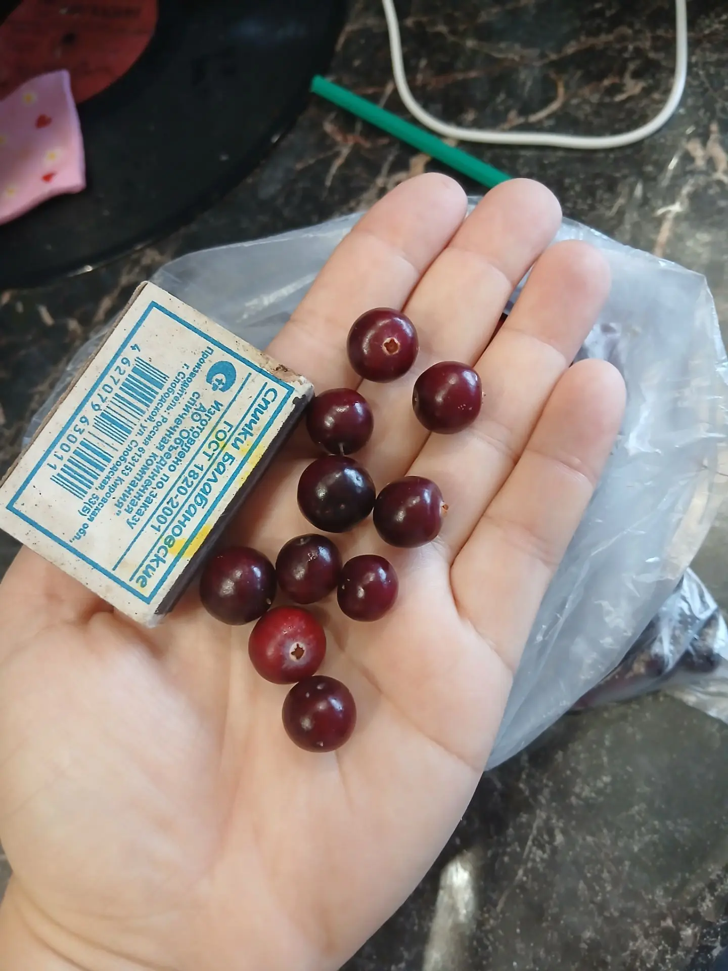 Бабушка клюкву привезла.🍒 как вишня.  Вчера насобирала. И привезла немного нам .