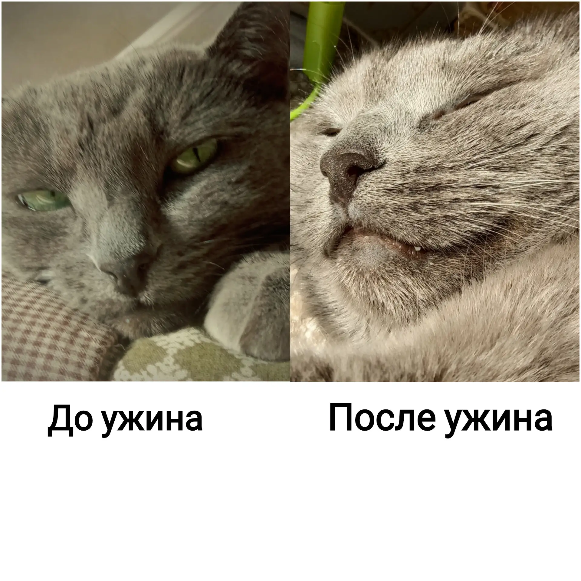 Два моих типичных состояния🤭
